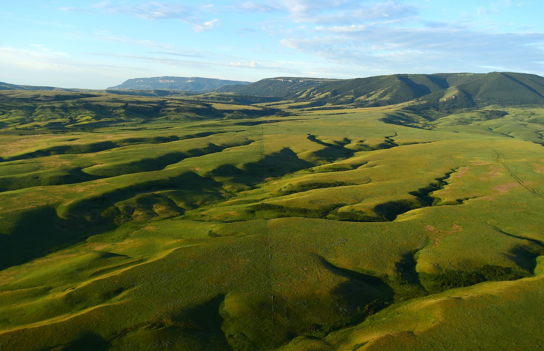 Pryor Mountains